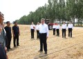 El lujo es vulgaridad, la batalla cultural que declaró China