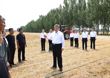 El lujo es vulgaridad, la batalla cultural que declaró China