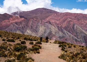 El NOA, de remate: alerta por la extranjerización de la tierra