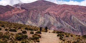 El NOA, de remate: alerta por la extranjerización de la tierra